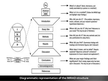 Imrad структура научной статьи