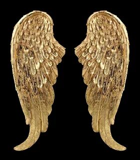 Golden wings