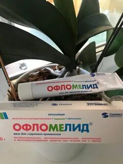 Офломелид мазь аналоги