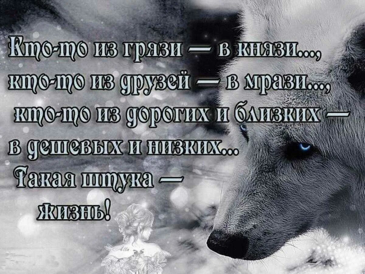 Красивый статус на телефон. Статусы про жизнь. красивые цитаты про жизнь. статусы в картинках. красивые слова про жизнь.