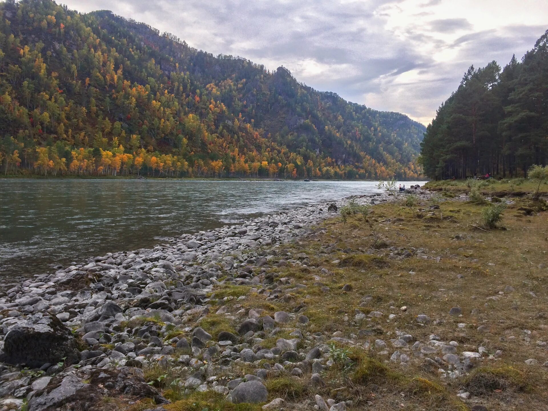 Село чепош горный алтай. Чепош горный алтай. чепош парк горный алтай.