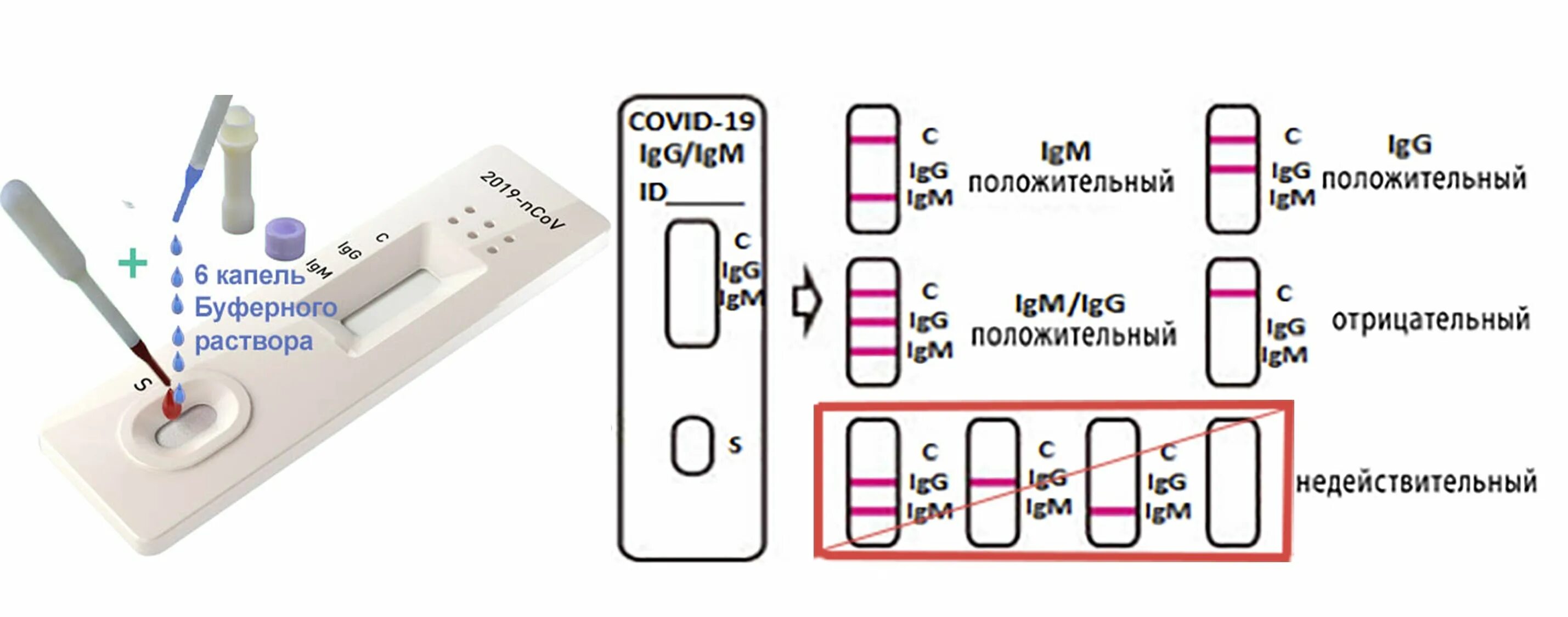 Экспресс тест отрицательный. Результаты экспресс теста. Положительный тест на коронавирус экспресс тест. Экспресс тест на ковид 19. Covid 19 ag экспресс тест положительный.