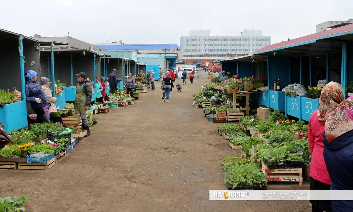 Рынок шупашкар чебоксары график. Рынок шупашкар чебоксары. южный рынок чебоксары. ванюшкин сад чебоксары колхозный рынок. район южный чебоксары рынок.