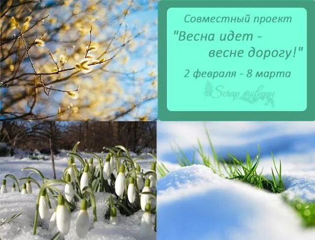Весну хочу весне дорогу. Котики весной. Весну хочу весне дорогу. Фея весны. Фея весны.