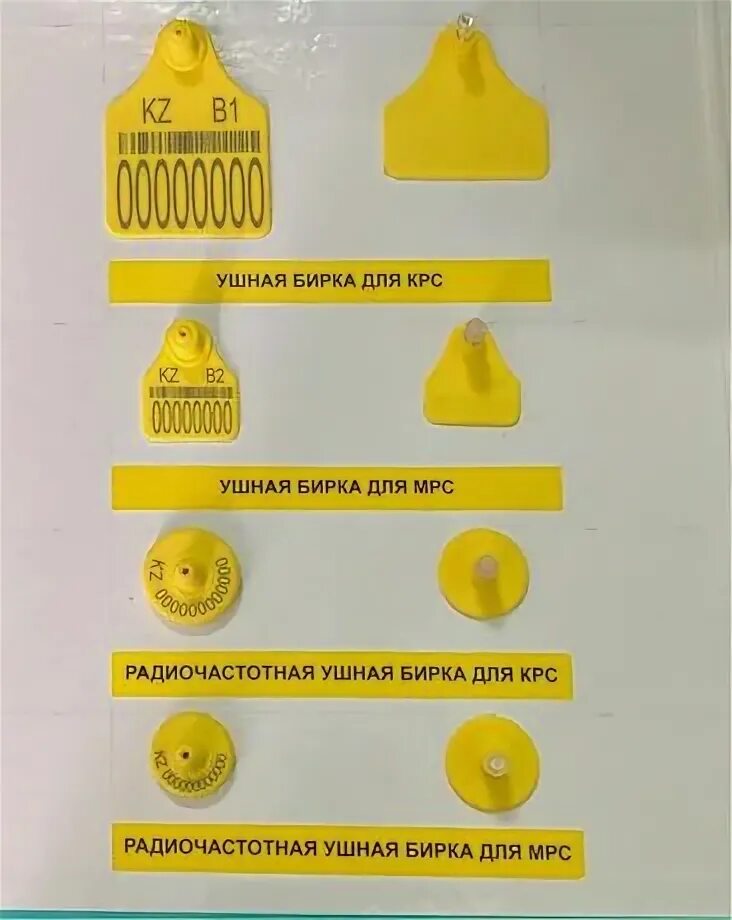 Кто продает бирку