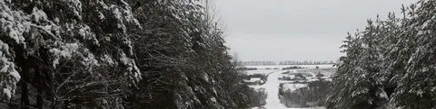 Погода пензенская область каменский кочетовка