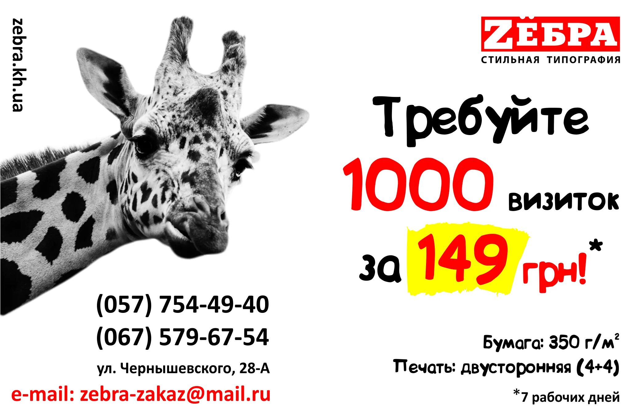 Акция на визитки. Визитки 1000 штук. Акция печать визиток 1000 шт Москва. Визитки 1000шт реклама. 1000 визиток