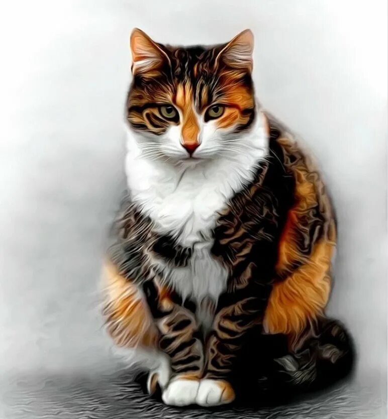 сибирская кошка трехцветная короткошерстная. сибирская кошка богатка. кот 3 цвета. трехцветные котята маленькие. трехцветный котенок.