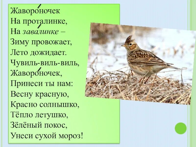 Жаворонки прилетите красну весну принесите. Закличка жавороночек на проталинке. Жавороночек на проталинке. Закличка Жаворонков на весну. Загадка про жаворонка.