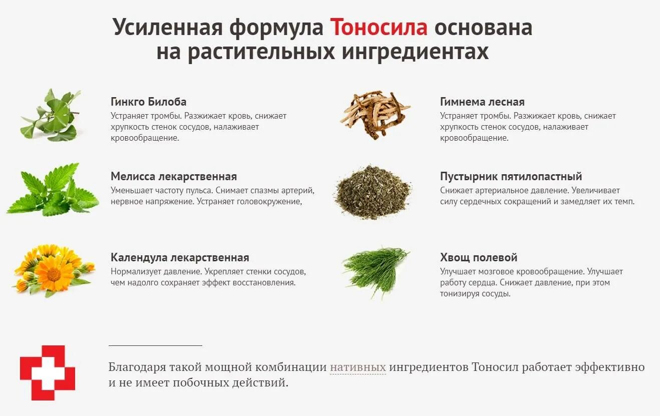 Продукты препятствующие образованию тромбов в сосудах. Травы разжижающие кровь. Травы для разжижения крови. Лекарственные травы разжижающие кровь. Кроверазжижающие препараты травы.