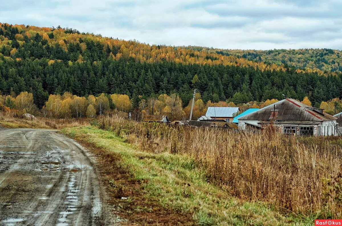 Село деревня поселок. Поселок деревня. Лето в деревне. Село деревня поселок. Педасельга карелия.