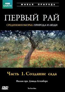 Первый раи