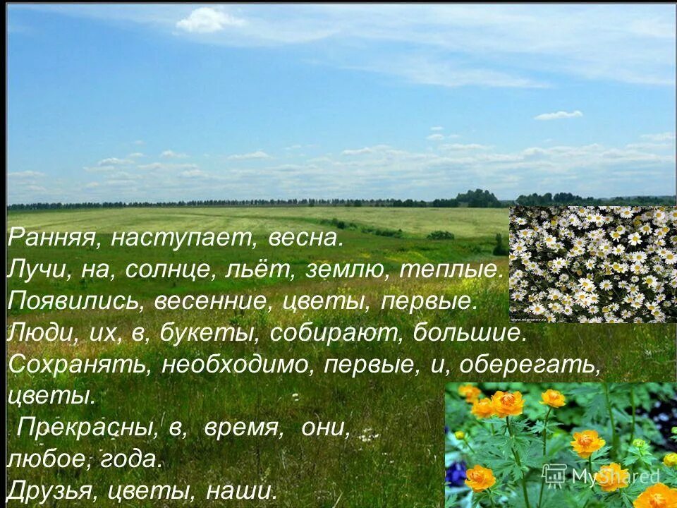 Везде чувствовалась радостная торопливая тревога жизни. Настала ранняя. Настала ранняя. Осень наступила осень стали дни короче. Бегут звонкие ручьи.