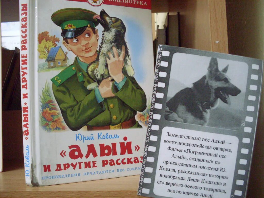 Рассказы юрия коваля. Коваль алый книга. Пограничный пес алый книга.