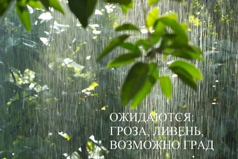 Когда дождь прекратился выглянуло солнце