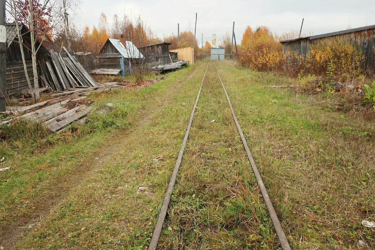 Луна лесная ул 1а поселок авнюгский фото Русский Север 2016: Авнюгская УЖД Гореть и дарить свой свет LiveJournal