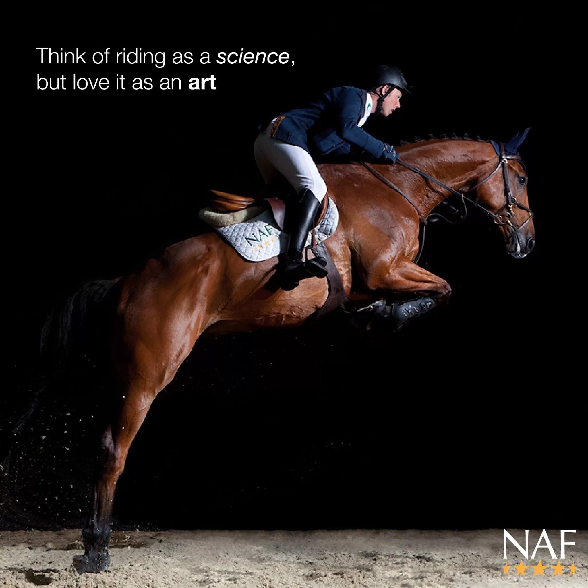 Смешной наездник на лошади. Цитаты про всадников. Цитаты про всадников. Эпиграф к медному всаднику. Конные цитаты.