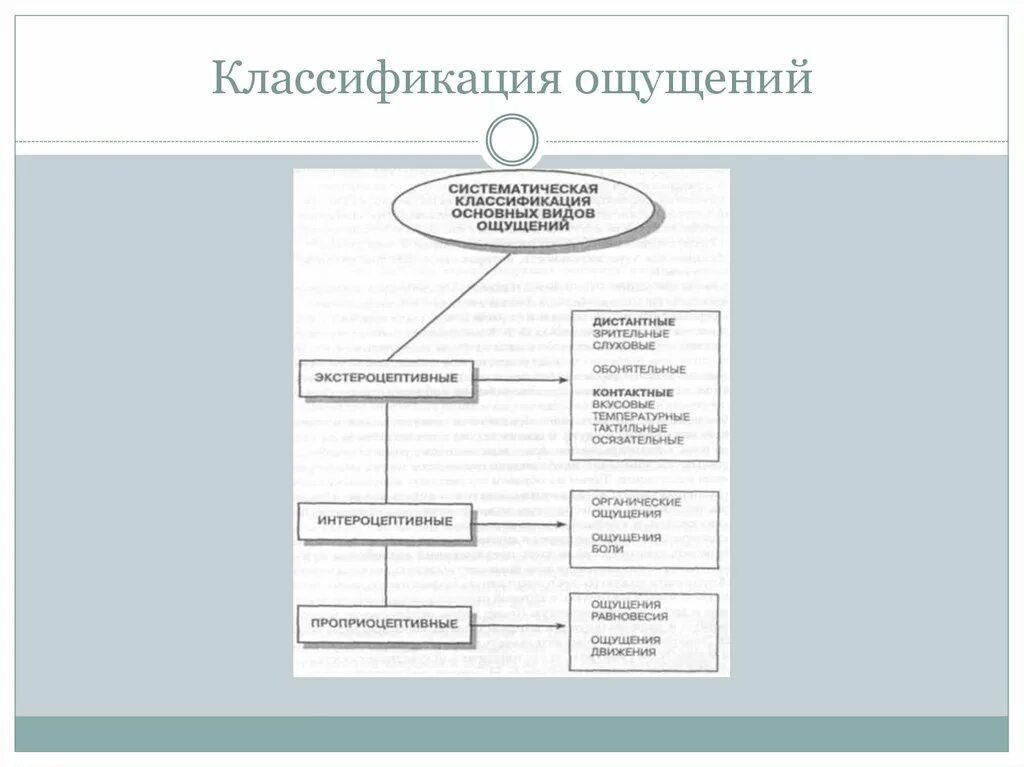Ощущения как познавательный процесс