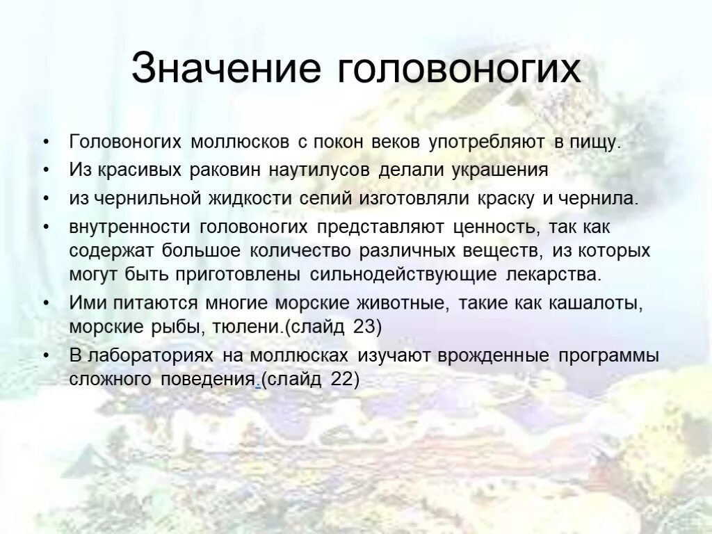 Значение головоногих. Значение головоногих моллюсков. Головоногие значение в природе и жизни человека. Значение головоногих моллюсков в природе и жизни человека. Роль головоногих