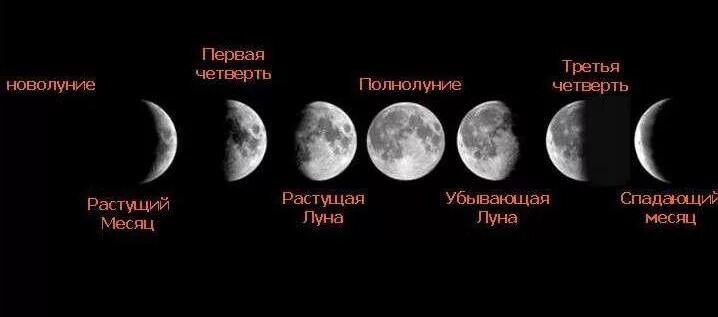 20 мая луна убывающая или растущая. 20 мая луна убывающая или растущая