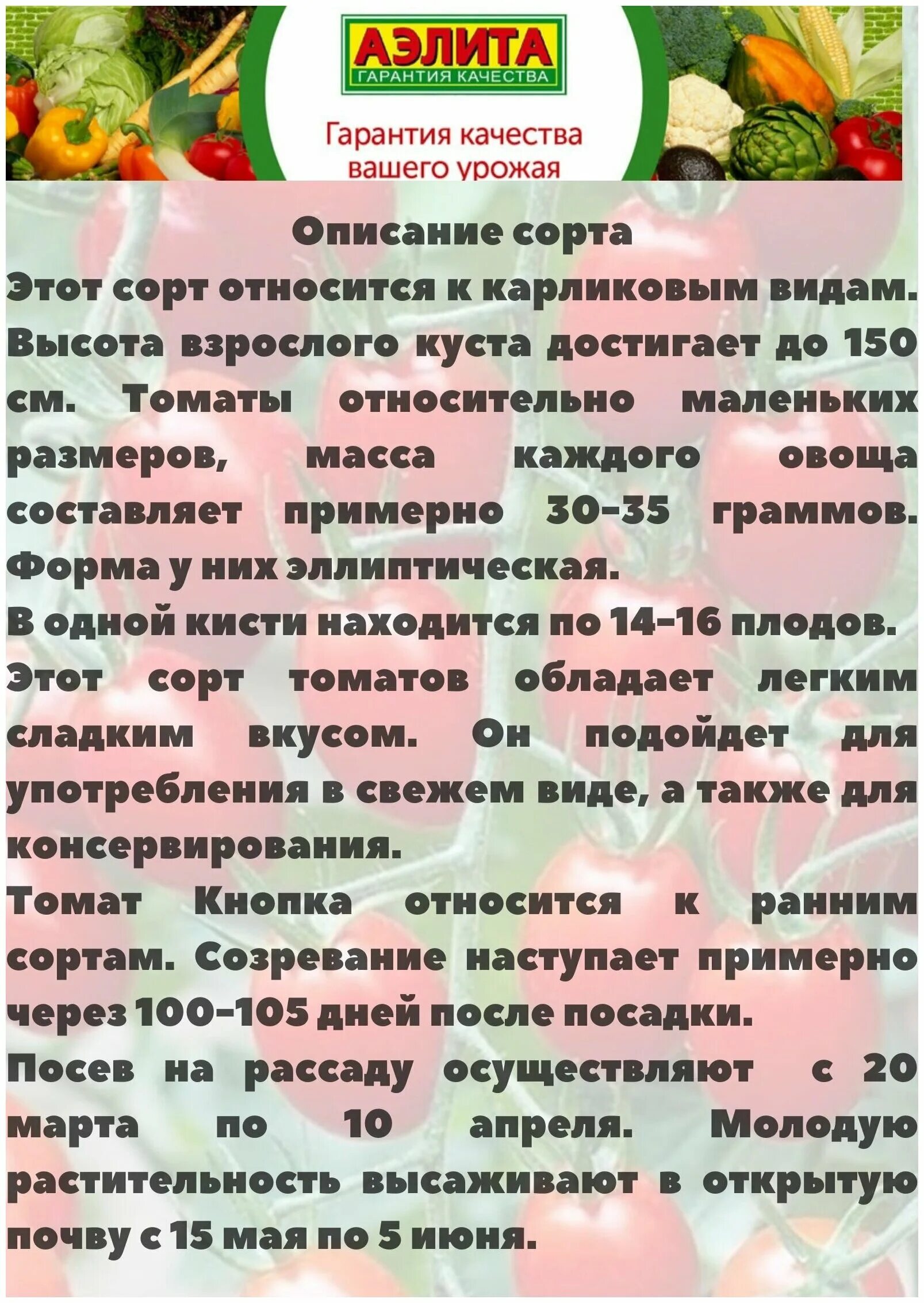 Помидоры кнопка описание сорта. Томат балконный красный f1 аэлита. Томат черри кнопка. Томат кнопка характеристика и отзывы. Семена томат балконное чудо аэлита 0,1 г.