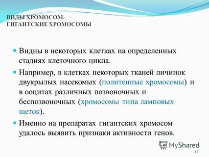 Определенный этап