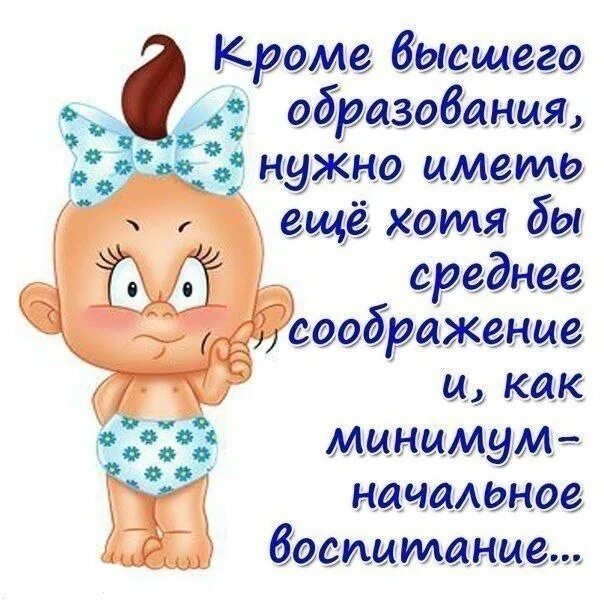 Статусы изображения. Прикольные статусы в картинках. статусы смешные и прикольные в картинках. статусы с юмором в картинках. веселые статусы.