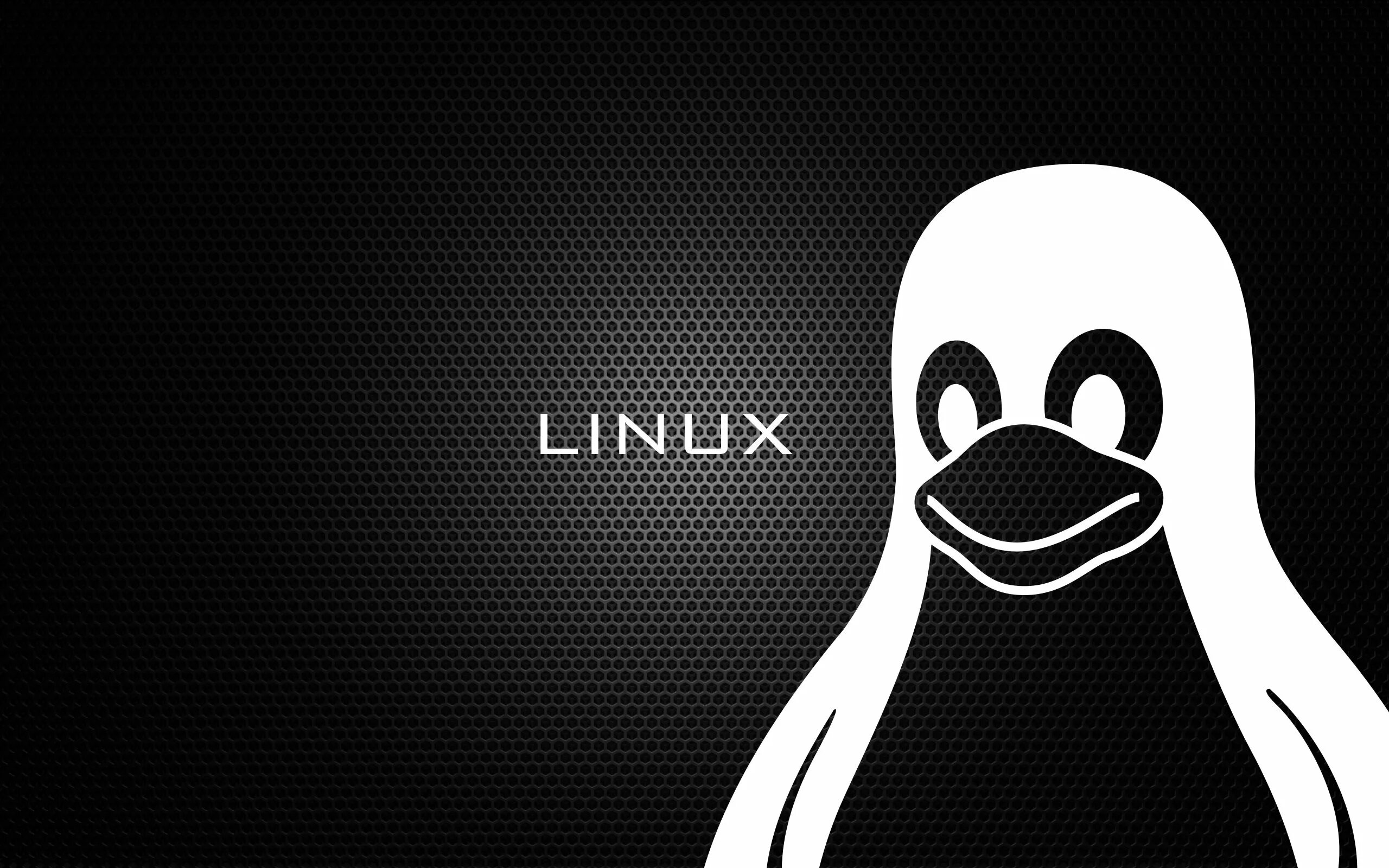 Линукс. Обои линукс. Пингвин линукс. Linux Пингвин обои.
