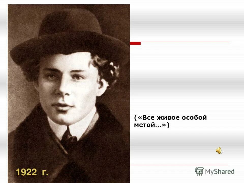 Есенин все живое особой метой. Есенин не жалею. Есенин не жалею не зову. Градация не жалею не зову не плачу