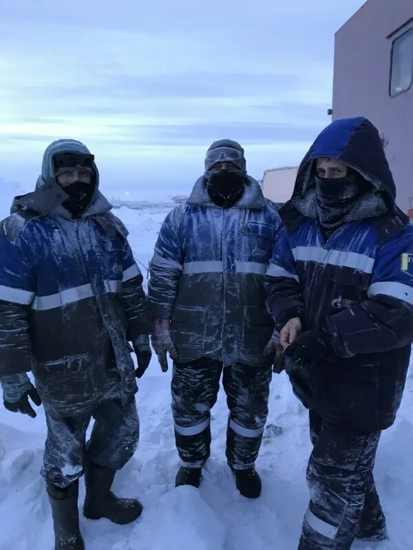 Снежная пелена. Гроза зимой. Вьюга смешала землю. Вьюга смешала землю. Девочка в метель.