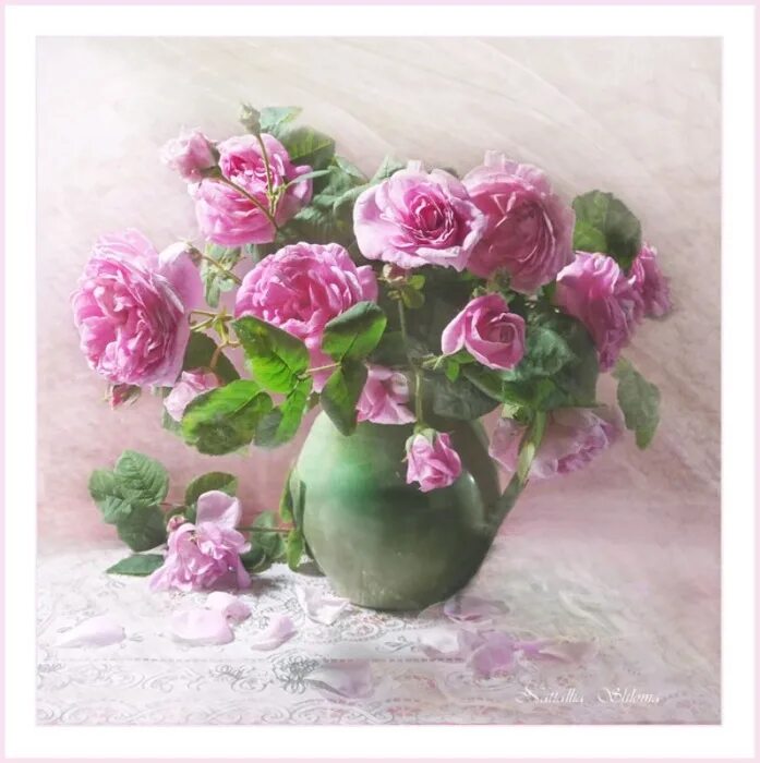 изящные цветы. букет жасмина в вазе. изящные цветы. букеты в вазах. фотонатюрморты светланы лебедевой.