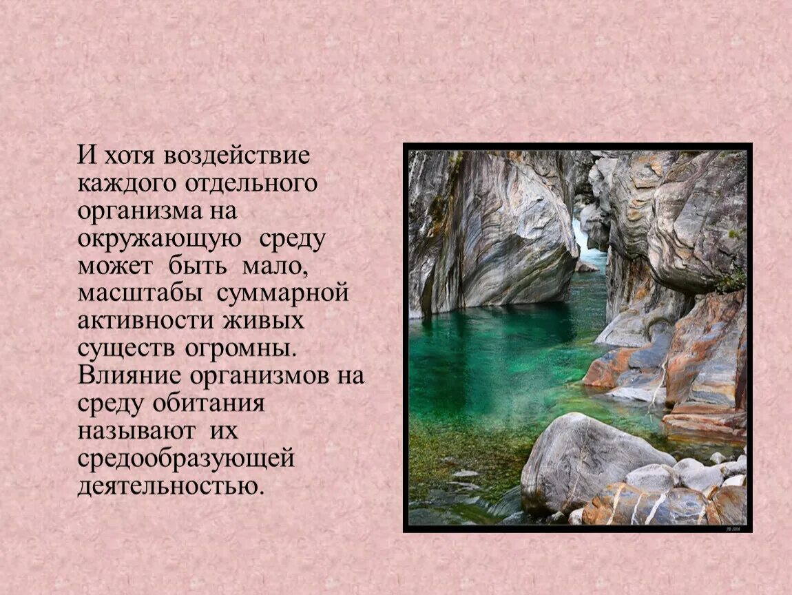 Влияние живых организмов на среду обитания. Влияние живых организмов на среду организмов. Пути воздействия организмов на среду обитания. Влияние живых организмов на среду обитания примеры. Воздействие живых организмов на среду обитания