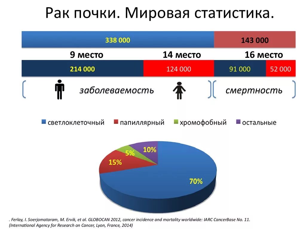 Опухоли статистика. Онкология статистика. Статистика онкозаболеваний. Статистика заболеваний почек. Статистика распространенность заболеваний почек.