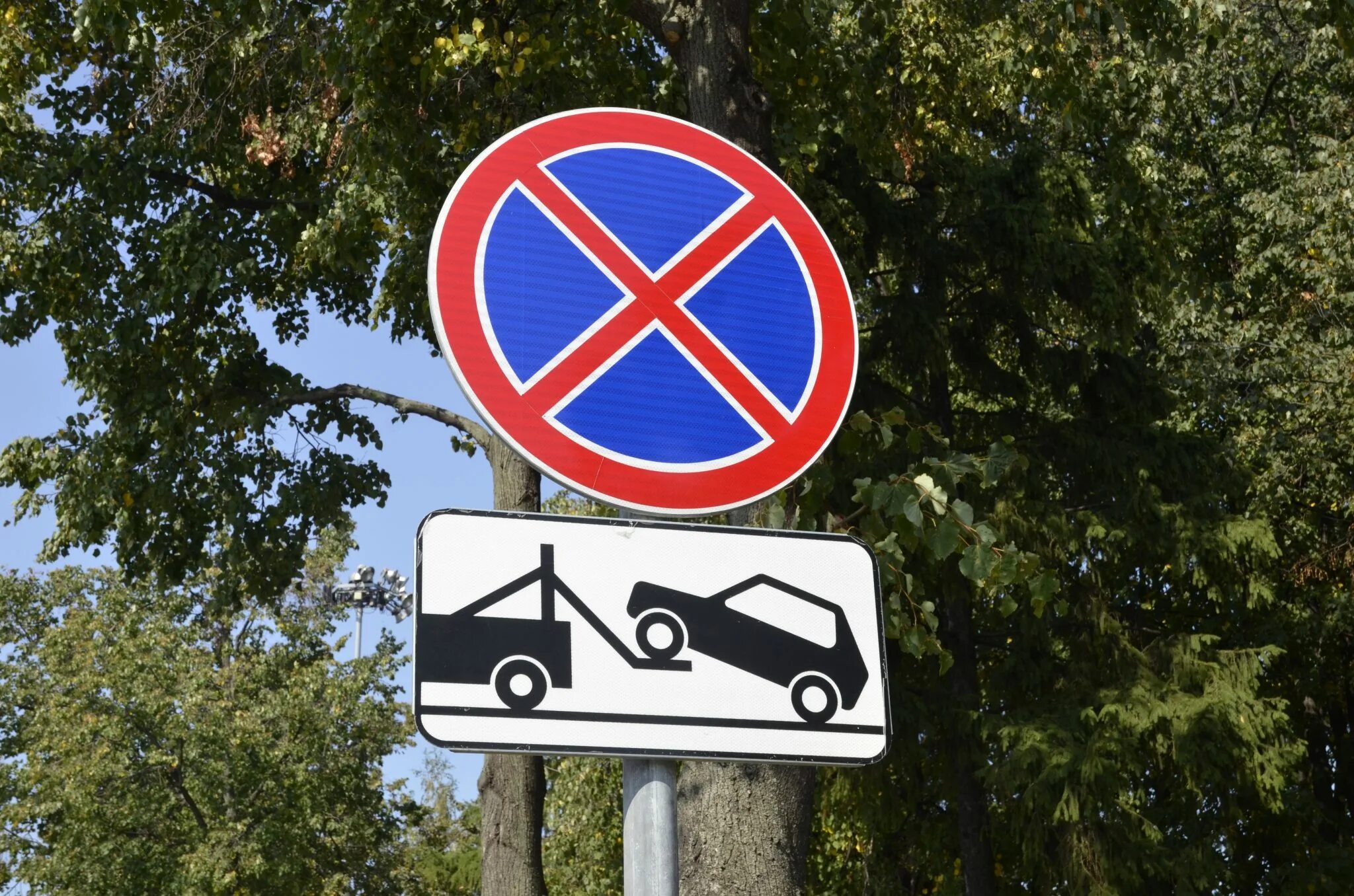 знаки дорожного движения 3. 27-3. знак 3. 27 остановка запрещена. 27.