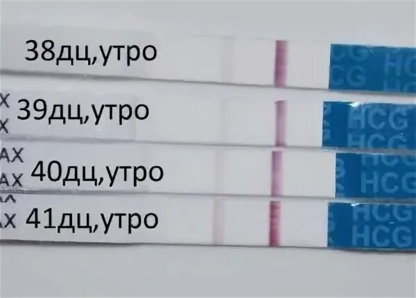 38 лет задержка месячных. Задержка тест. 40 день цикла тест отрицательный. при задержке месячных. задержка тест отрицательный.