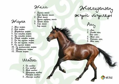 Орыс әйел алады трахает в жопу (порно видео онлайн)