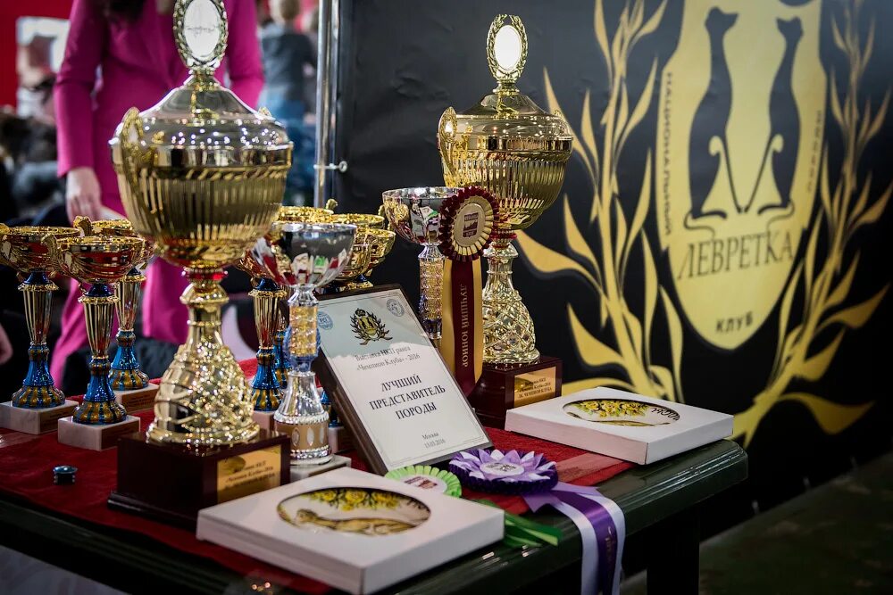 кубок выставка собак. пиклз собака 1966. победители выставки собак. шалопай собака. нашедшая кубок собака была приглашена на банкет.