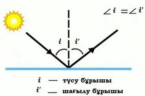 Шаңғышыны блять