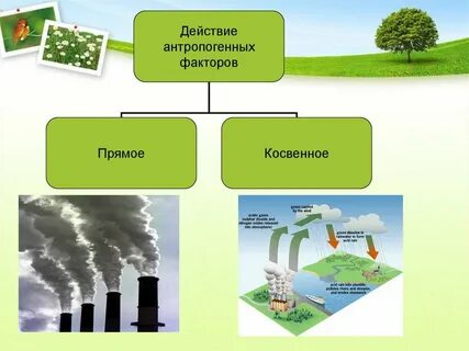 Примеры прямых факторов