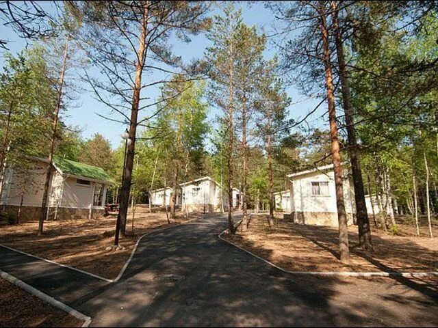 Орех загородный. Клуб орех Ленинградская область. База орех Ленинградская область. Загородный клуб орех Ленинградская область Приозерский район. База отдыха орех Приозерский район.