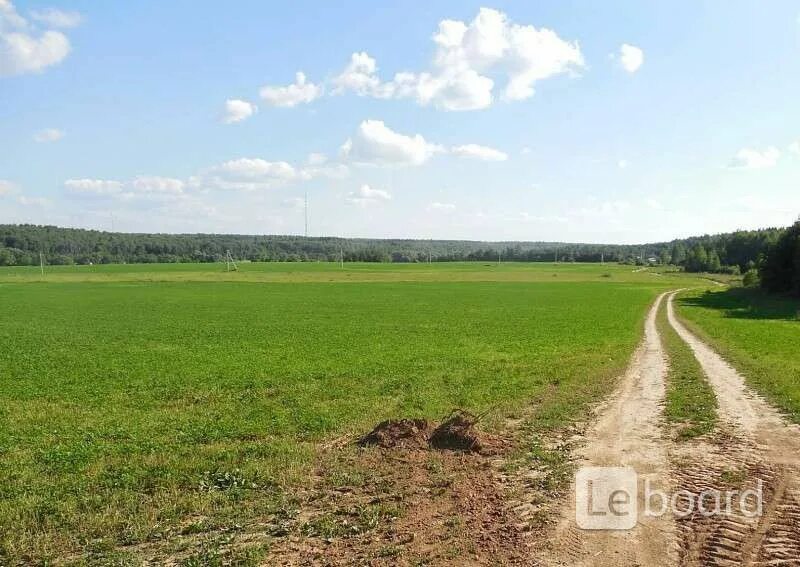 Фото артемьево ярославская область. Земельный участок 349 кв. Земельные участки ленинградская область. Поле сельское хозяйство. Земли сельскохозяйственного назначения ленинградская область.