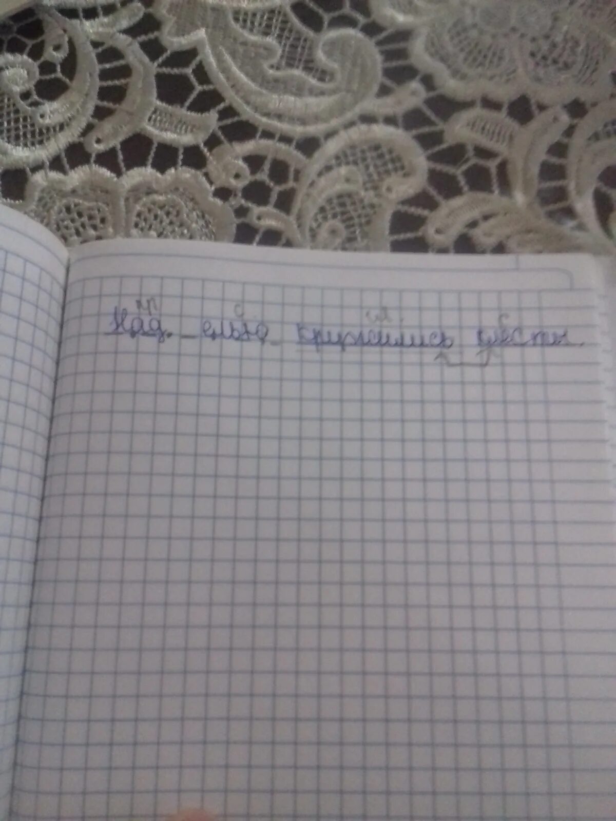 Клест в гнезде на белом фоне. Над елью кружились клесты разбор предложения синтаксический разбор. Птица клёст якутия. Над елью кружились клесты разбор. Клёст-еловик.