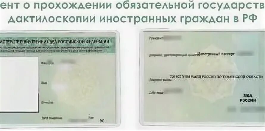 Где дактилоскопия для охранников где. Где дактилоскопия для охранников где