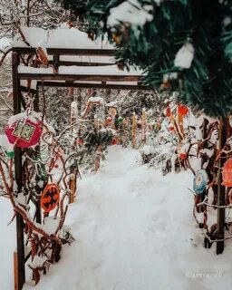 Экопарк вереск