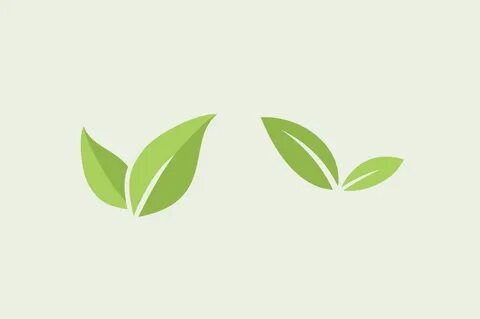 Small leaf