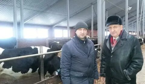 Спк адрес