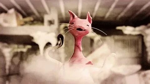 The cream kitty