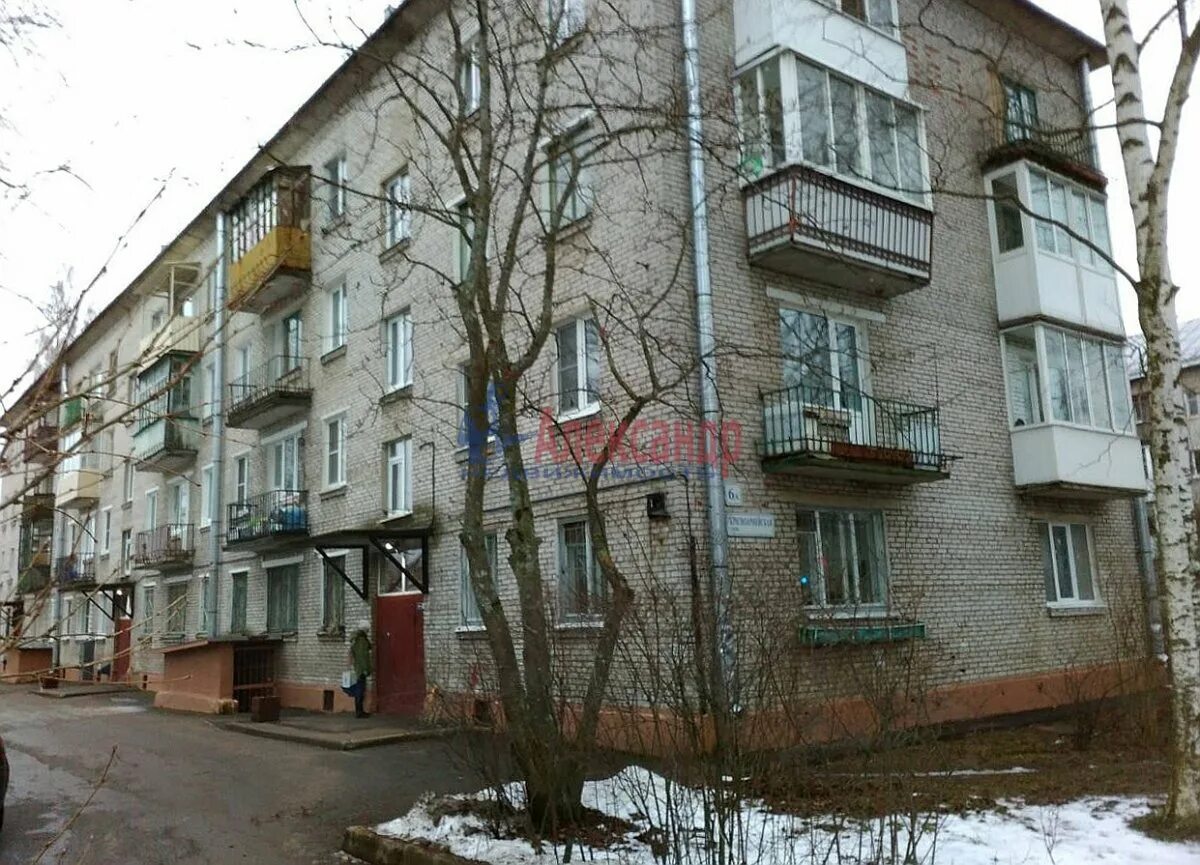Красноармейская 27 воронеж. Воронеж ул. Красноармейская 27 фото. Красноармейская улица ломоносов. Красноармейская 27.