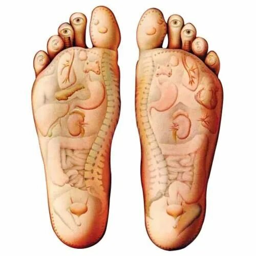 Exercises for Flat Feet - Fix Flat Feet Flat feet, Foot exercises, Foot exercise