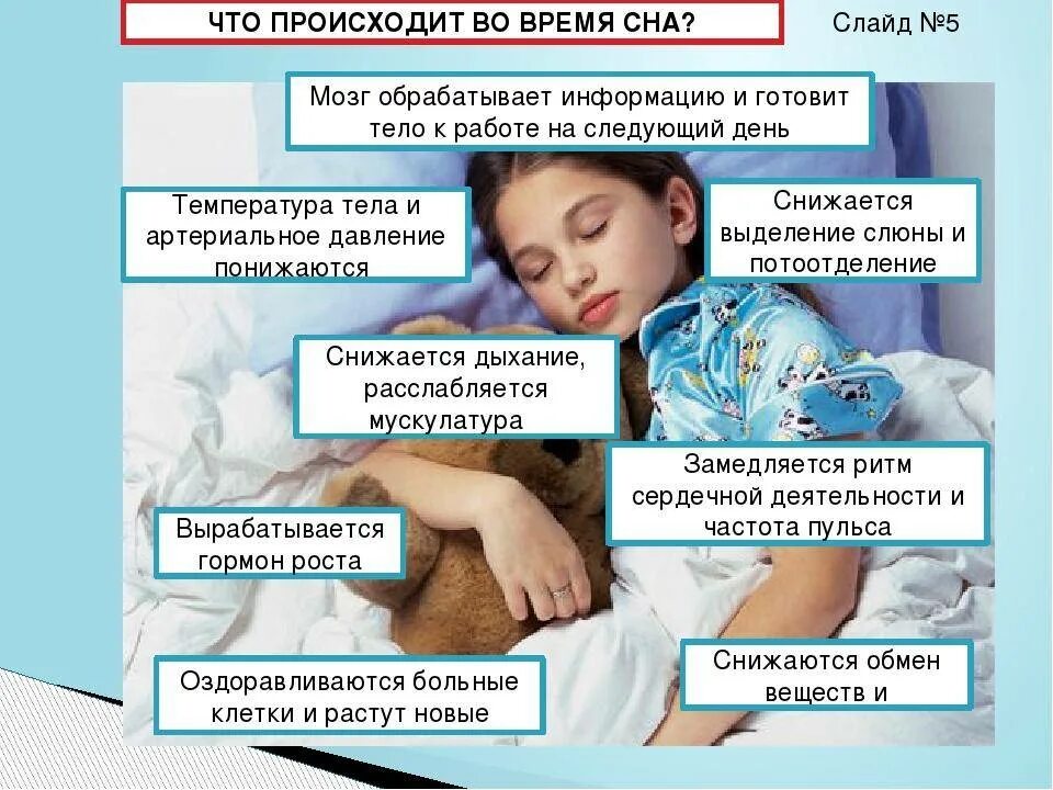 Ребенку год стал плохо спать. Влияние снбса на организ. Влияние сна на организм человека. Памятка недосыпание. Здоровый сон влияние на организм.